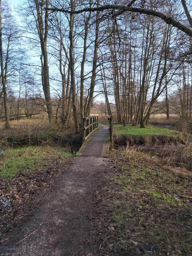 Ferienwohnung Foerde Koje Westerholz Exterior foto